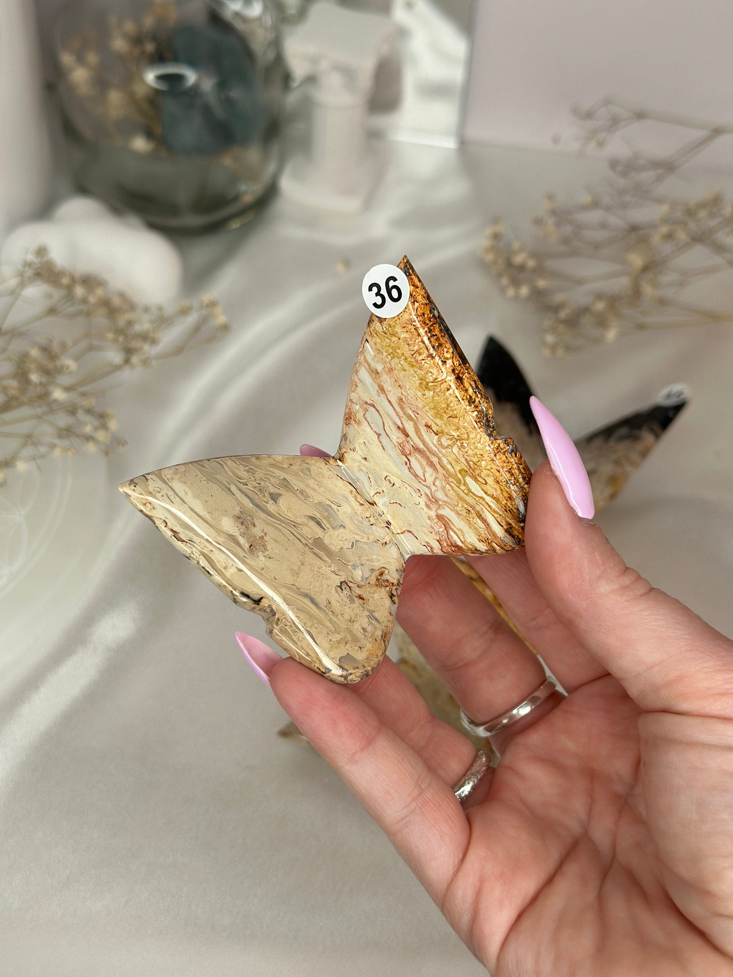 Papillons 3D - racine de palmier