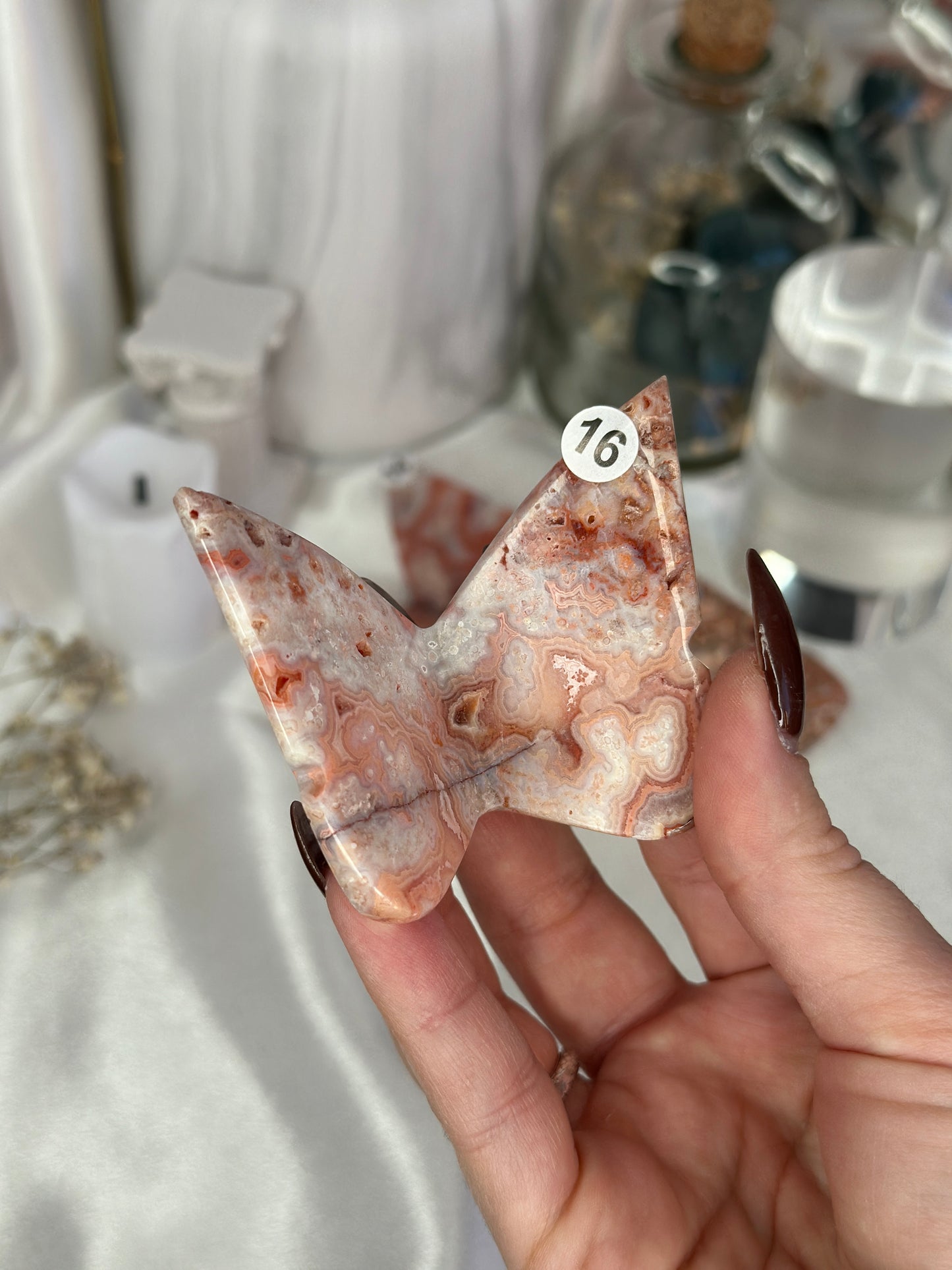Papillons 3D - Crazy lace