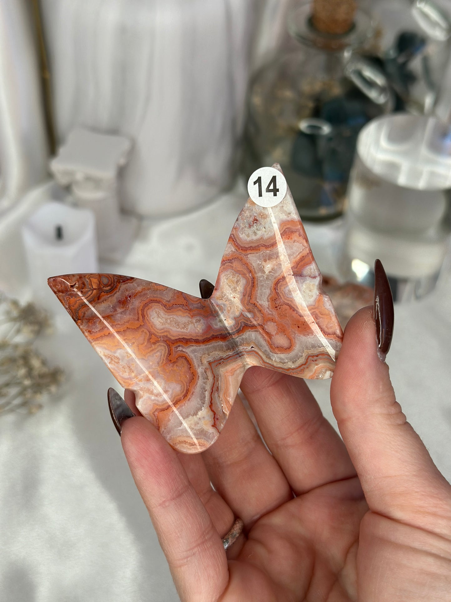 Papillons 3D - Crazy lace