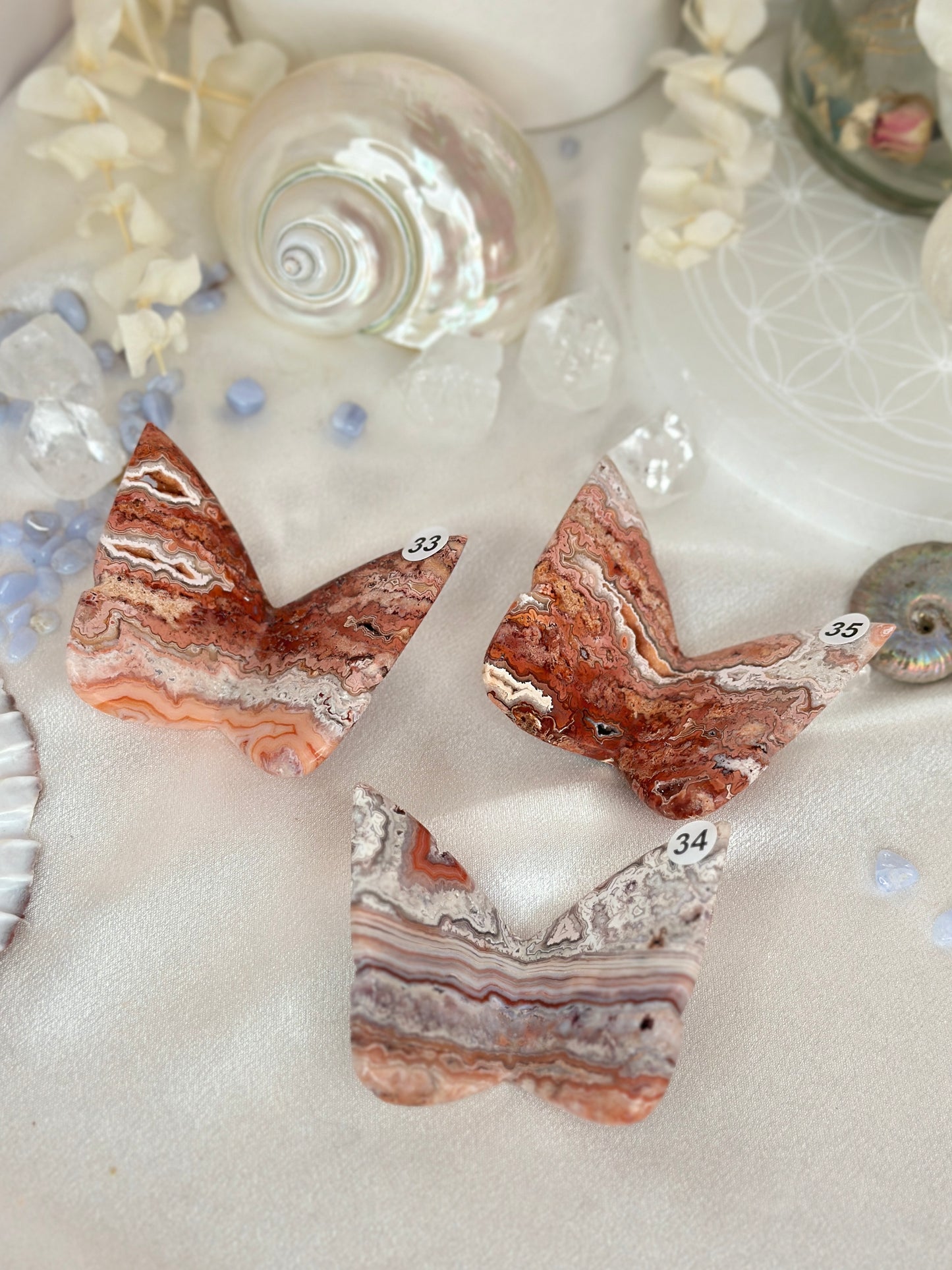 Papillons 3D - agate crazy lace rose
