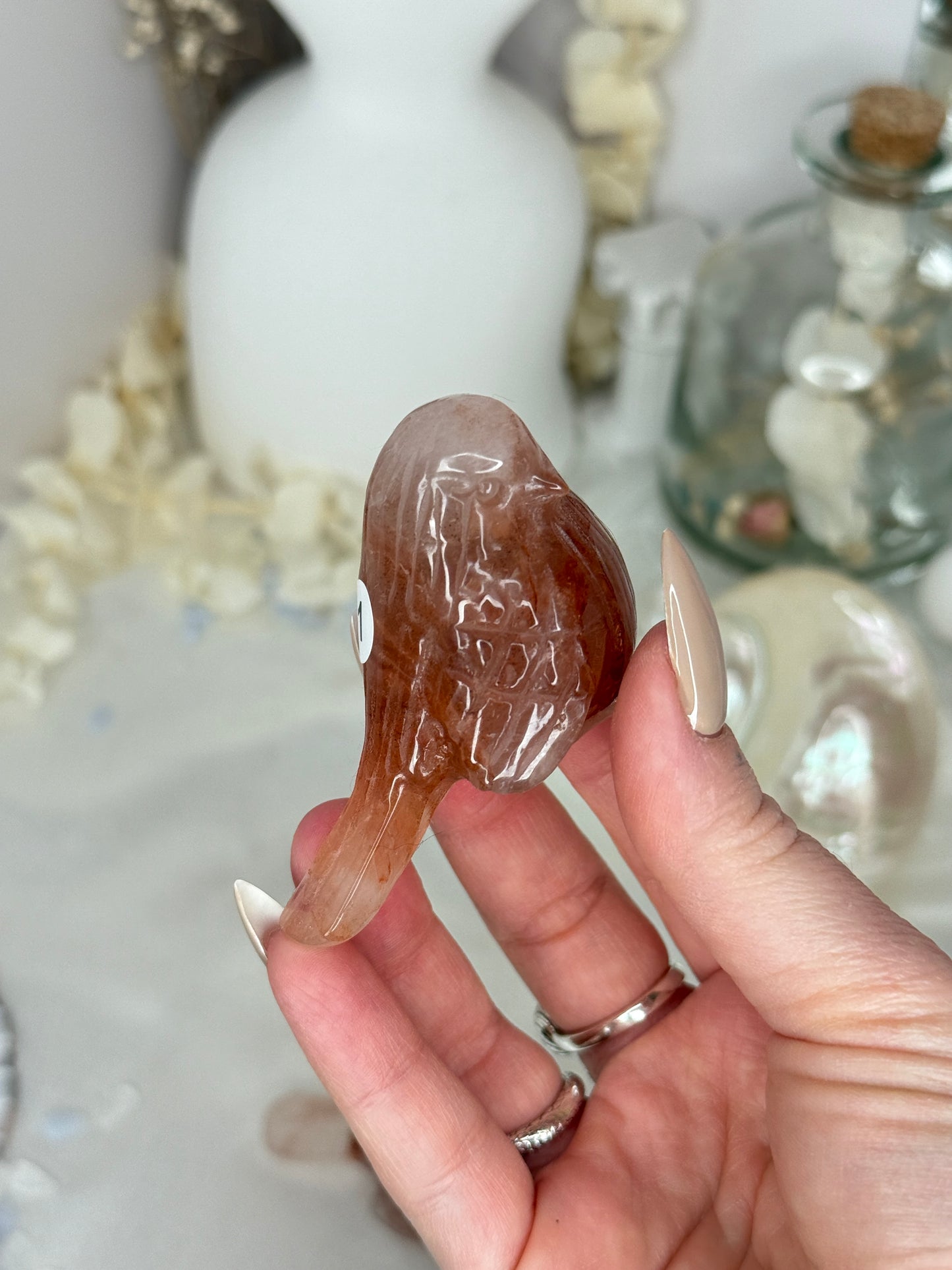 Oiseaux - Quartz hématoide