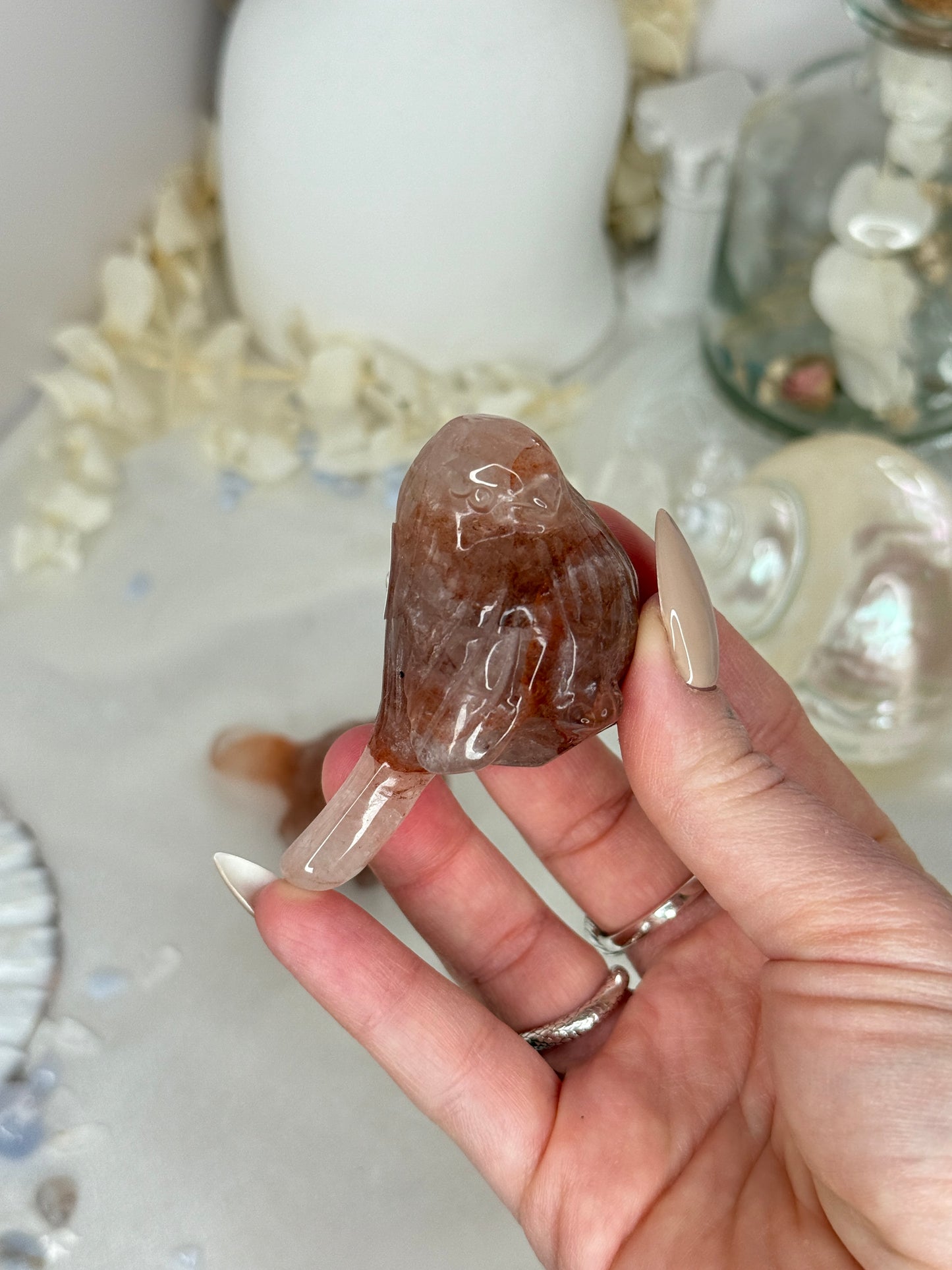 Oiseaux - Quartz hématoide