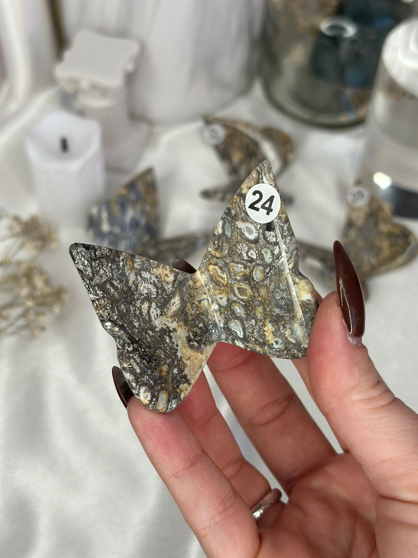 Papillons 3D - Taille M - Corail fossil