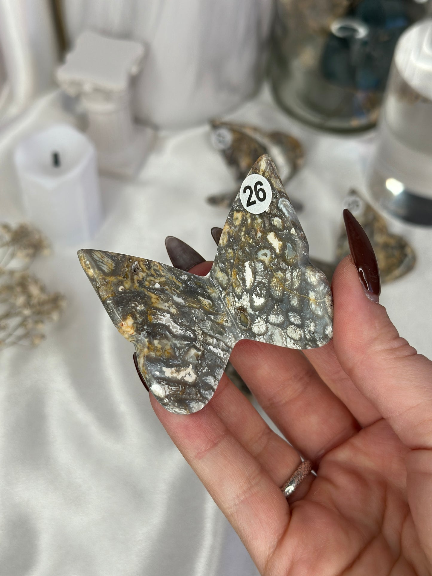 Papillons 3D - Taille M - Corail fossil