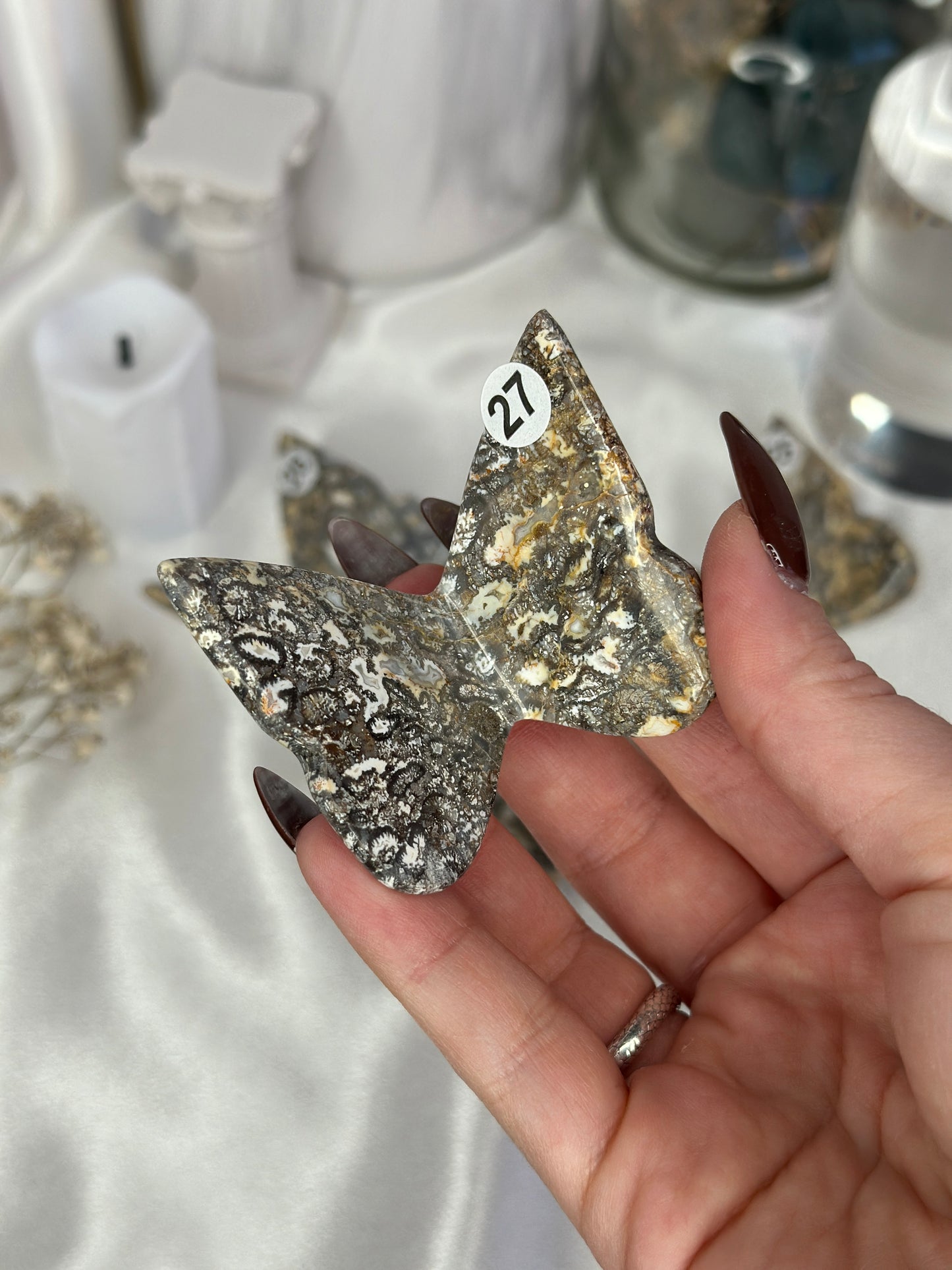 Papillons 3D - Taille M - Corail fossil
