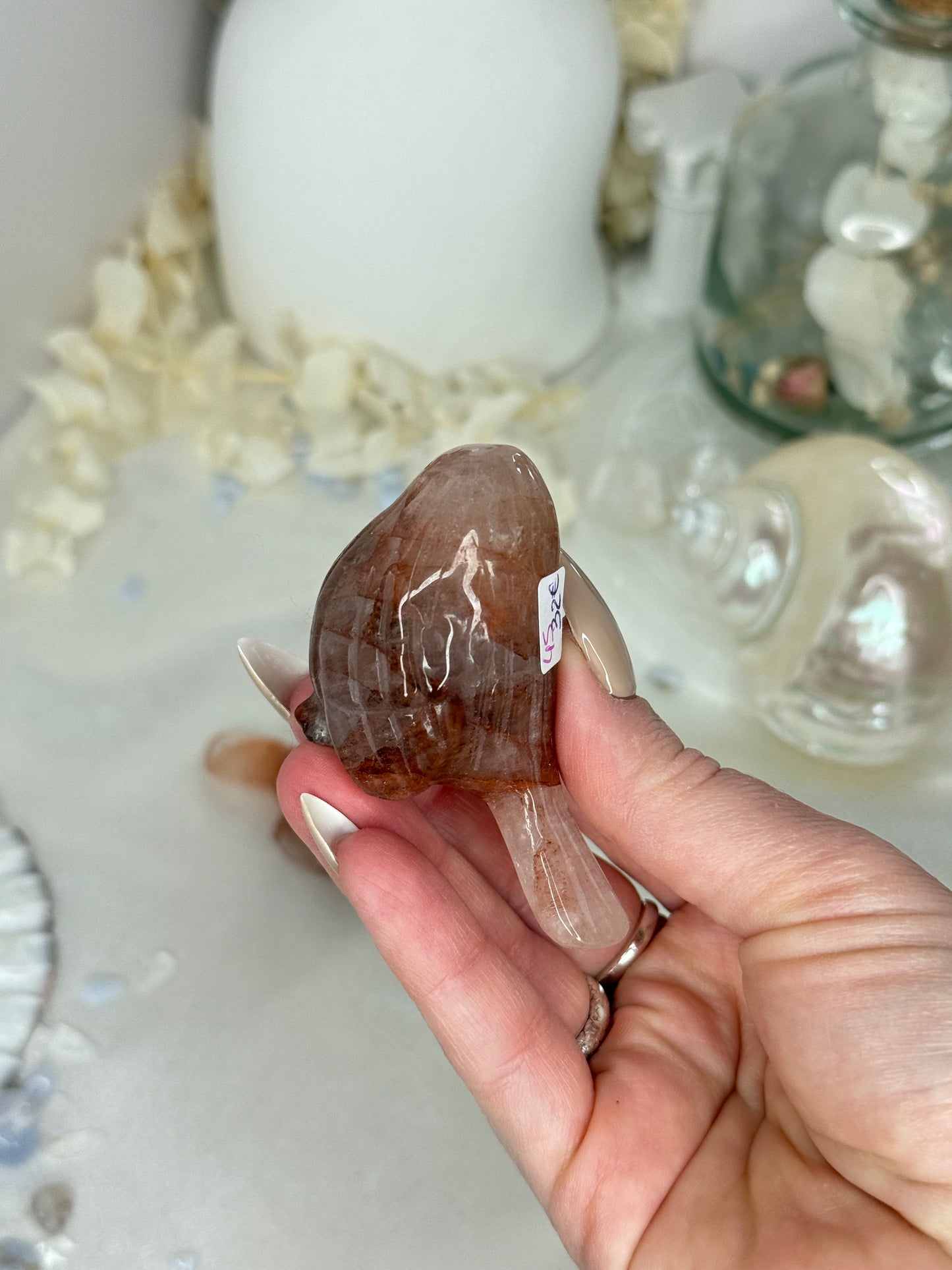 Oiseaux - Quartz hématoide