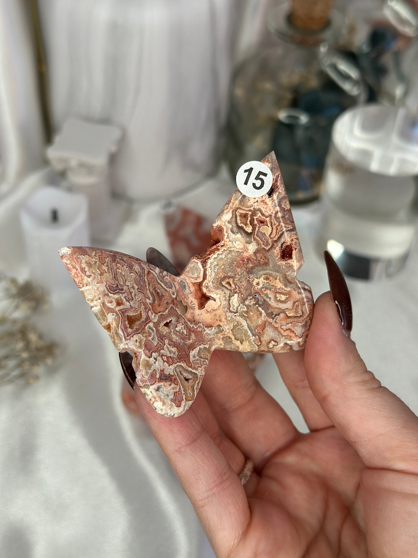 Papillons 3D - Crazy lace