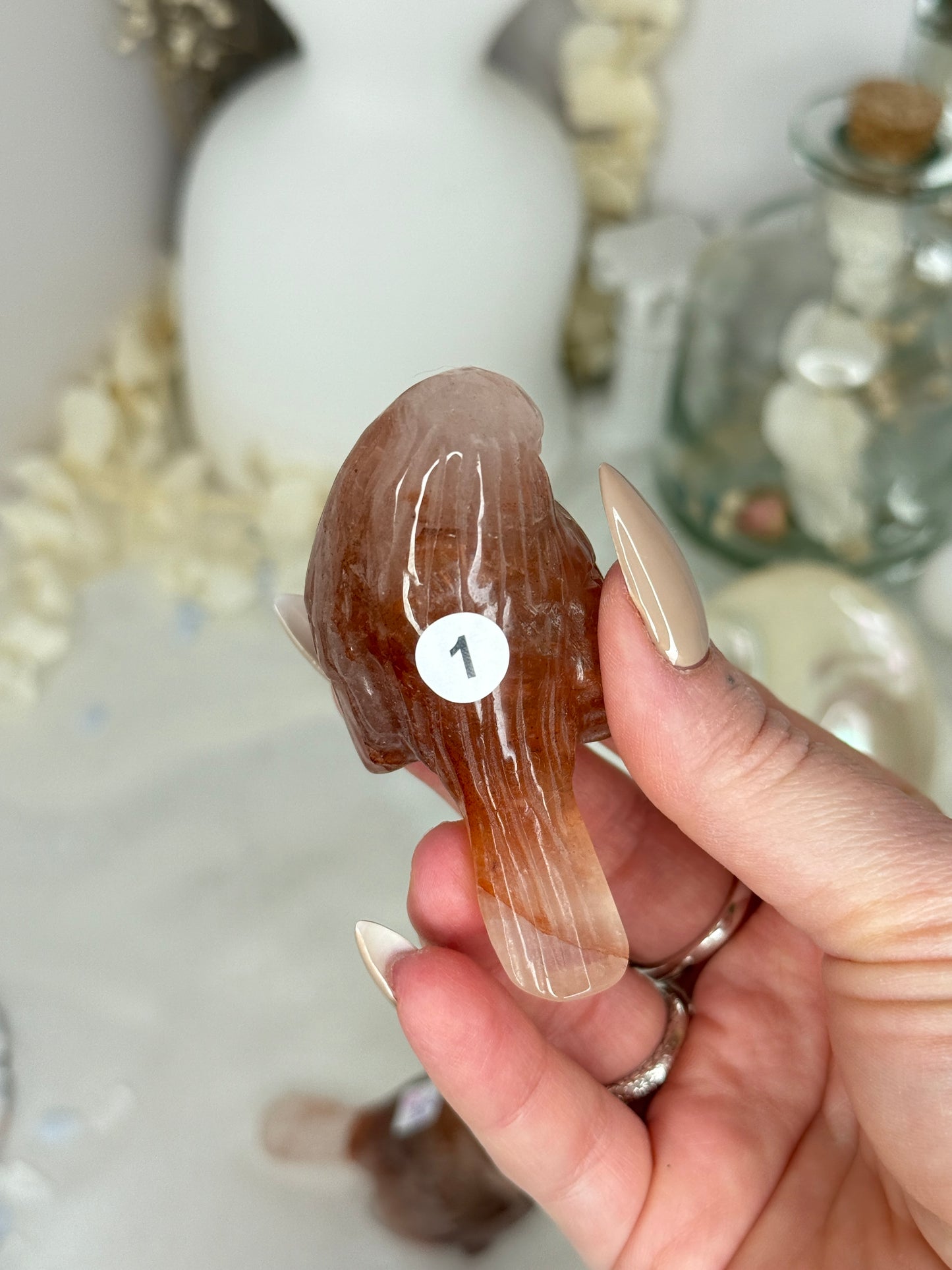 Oiseaux - Quartz hématoide