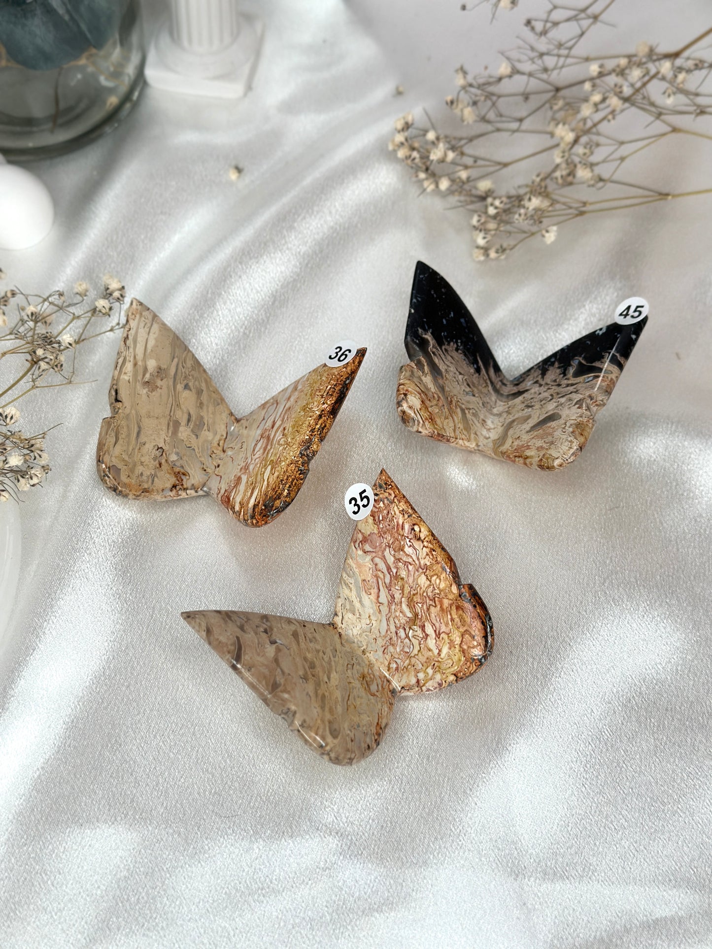 Papillons 3D - racine de palmier