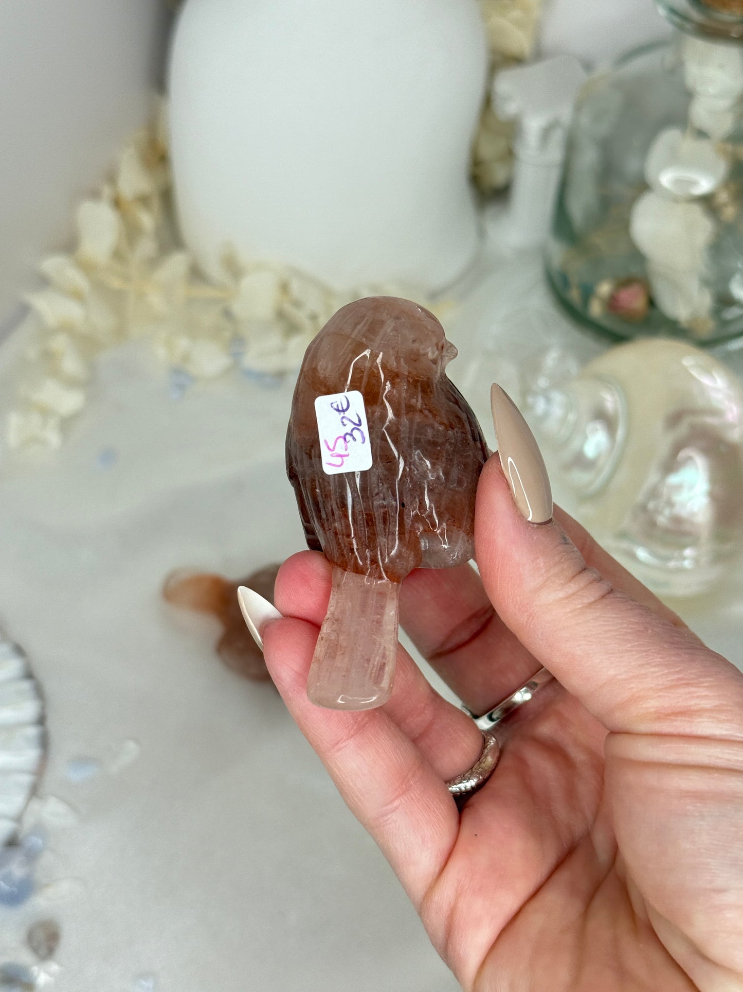 Oiseaux - Quartz hématoide