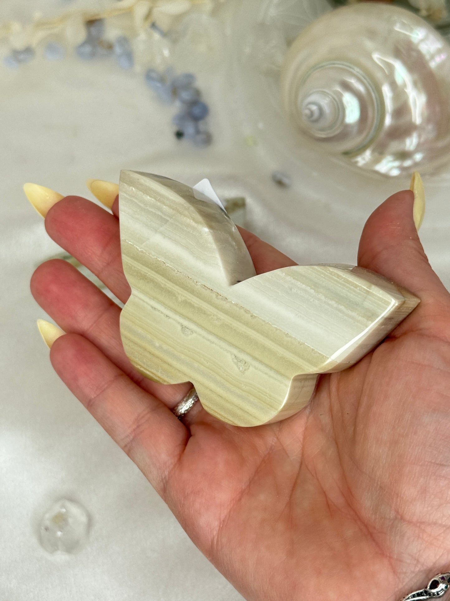 Papillons Jaspe Rayé