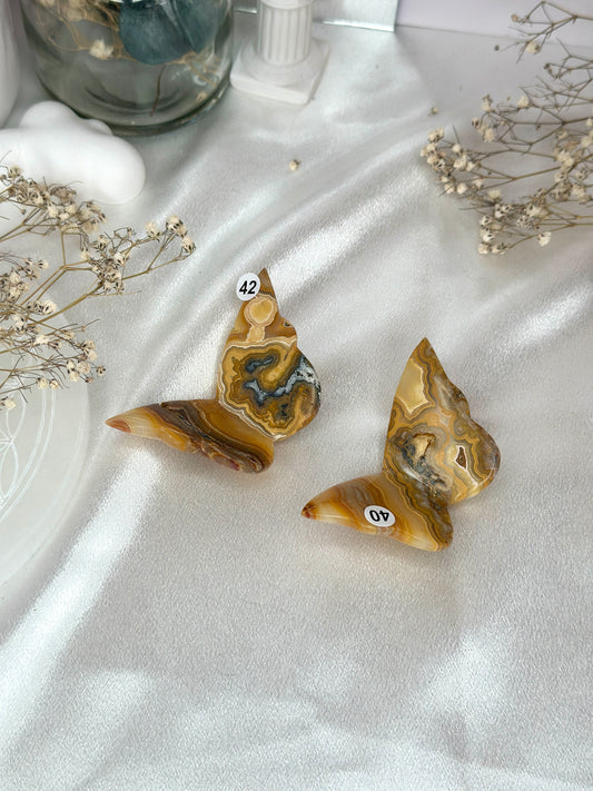 Papillons 3D - agate crazy lace jaune