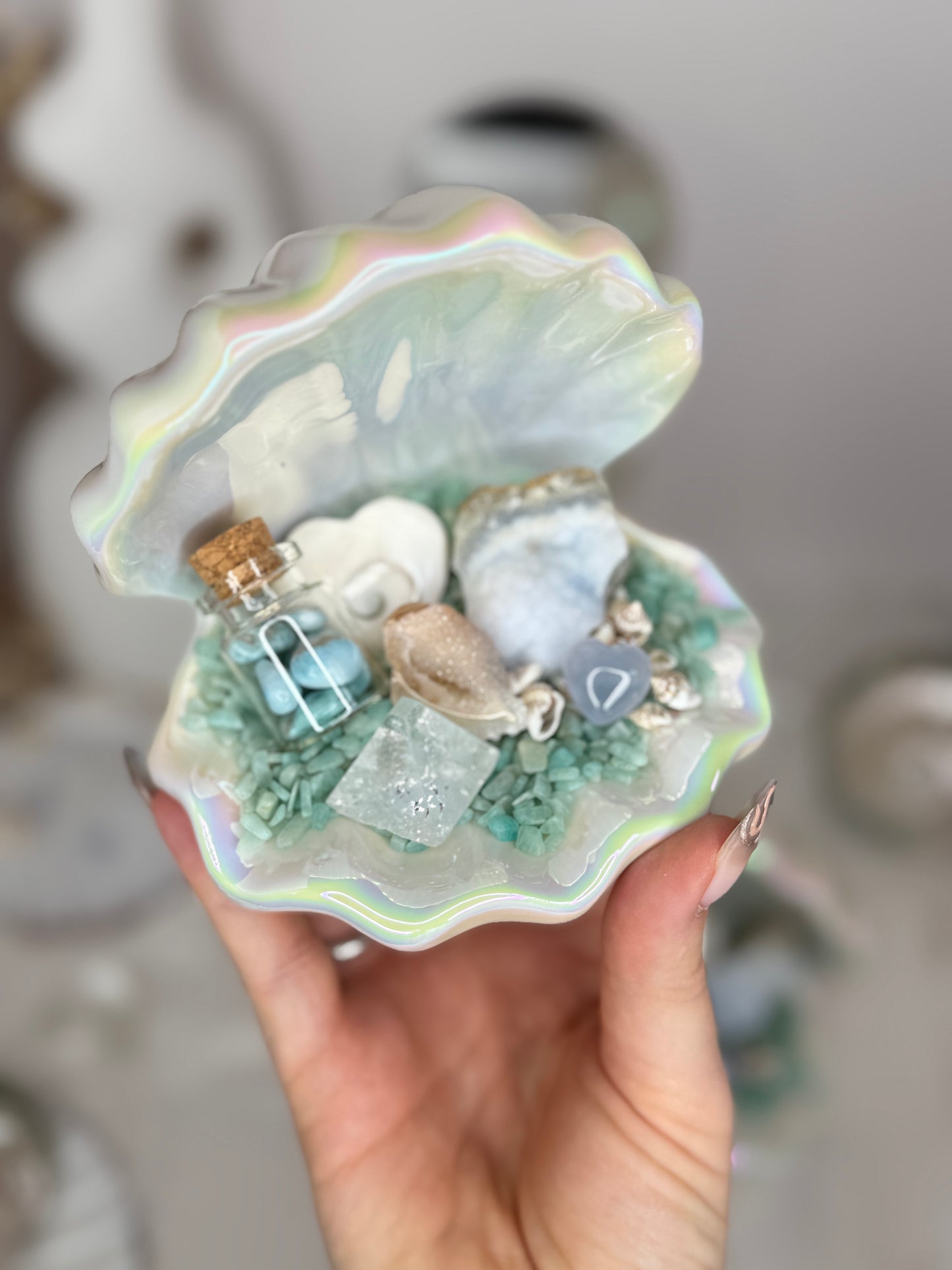 Coupelles coquillages