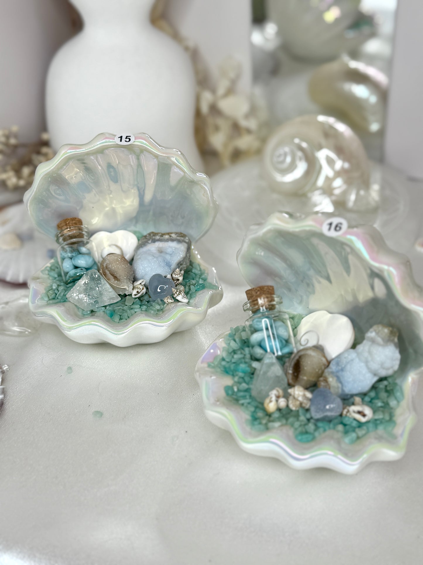 Coupelles coquillages