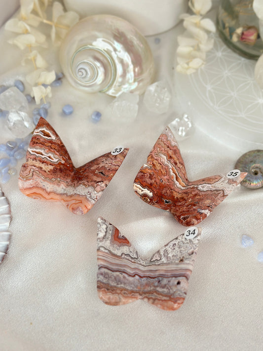 Papillons 3D - agate crazy lace rose