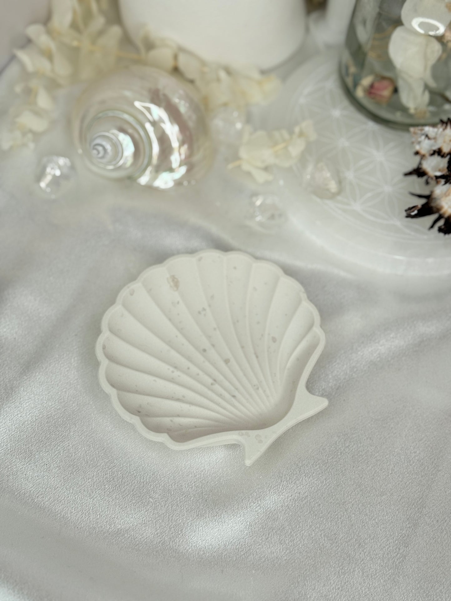 Coupelle - coquille