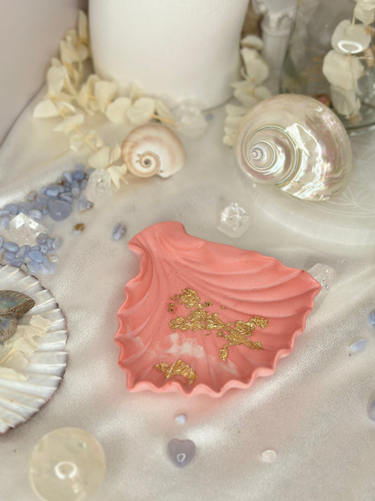 Coupelle - coquille