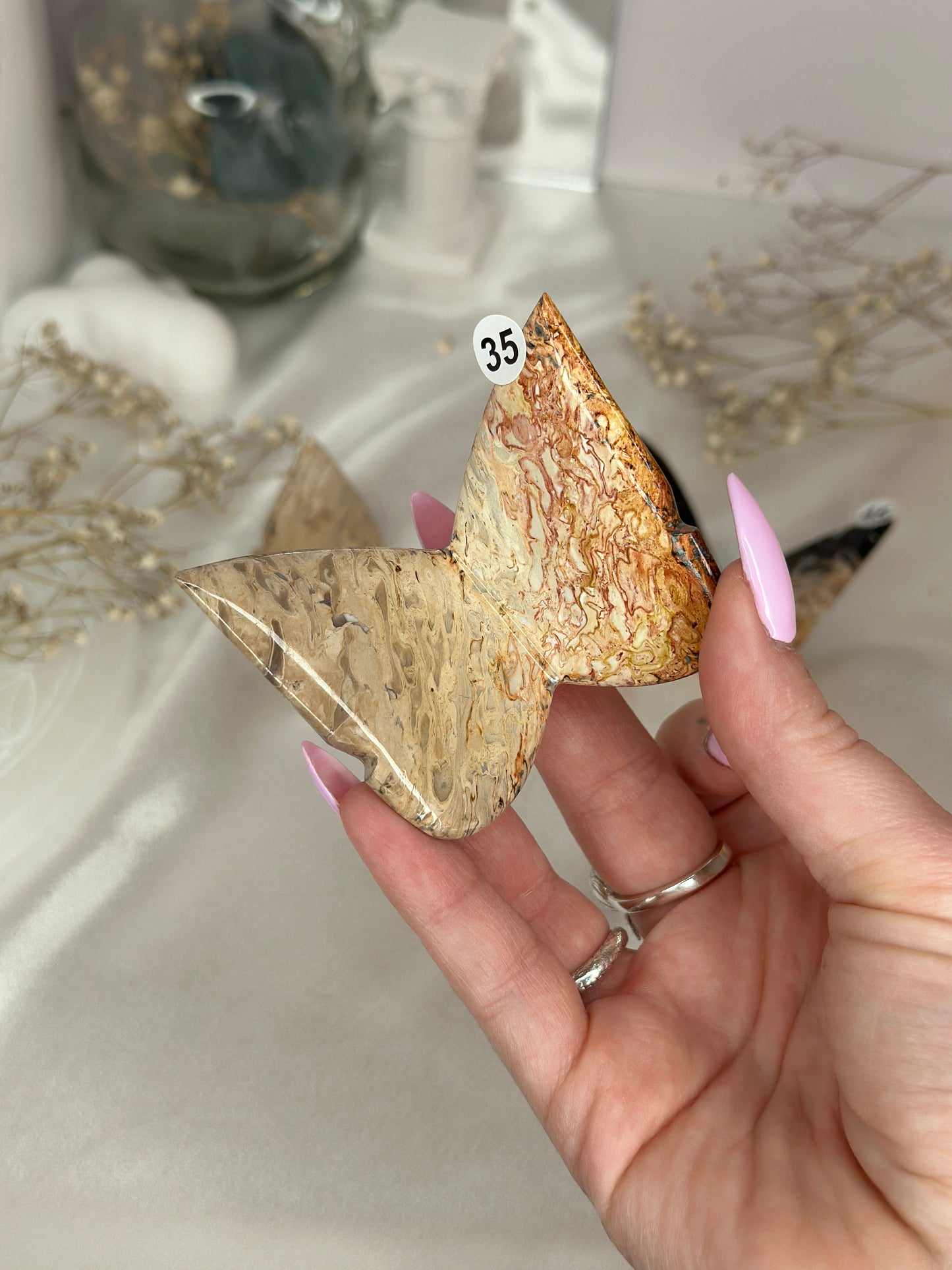 Papillons 3D - racine de palmier