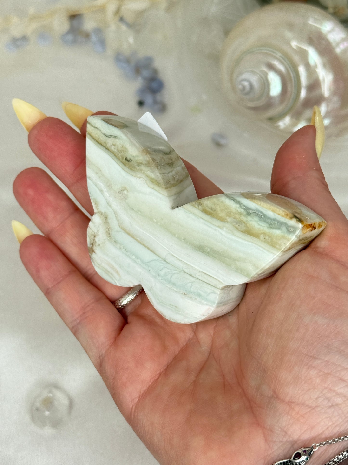 Papillons Jaspe Rayé