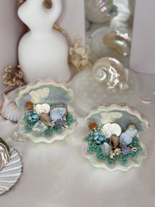 Coupelles coquillages