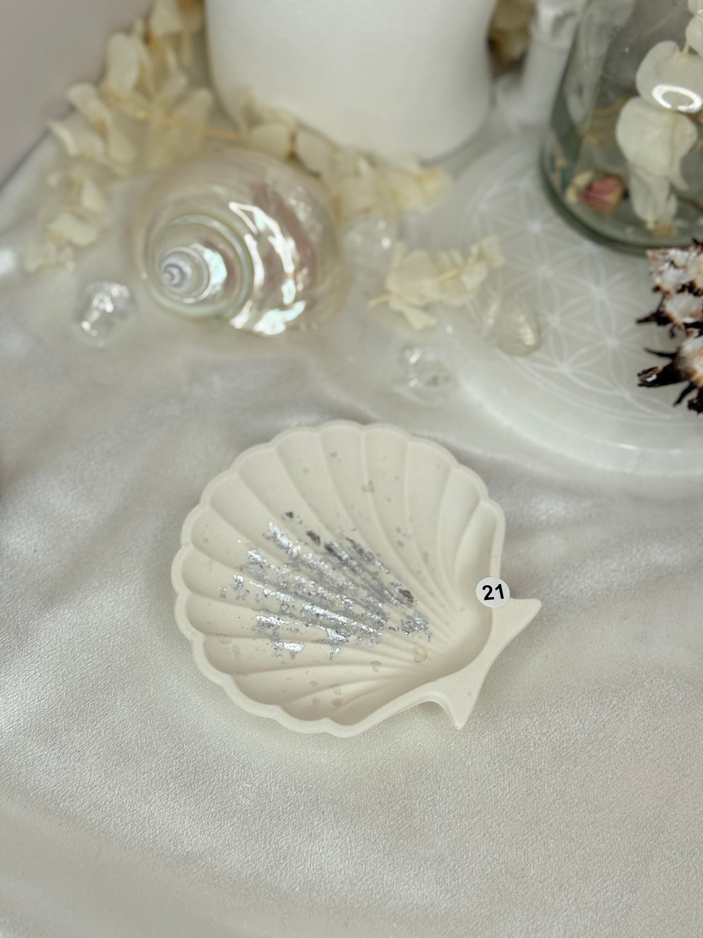 Coupelle - coquille