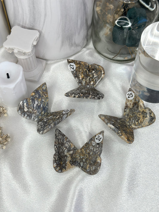 Papillons 3D - Taille M - Corail fossil