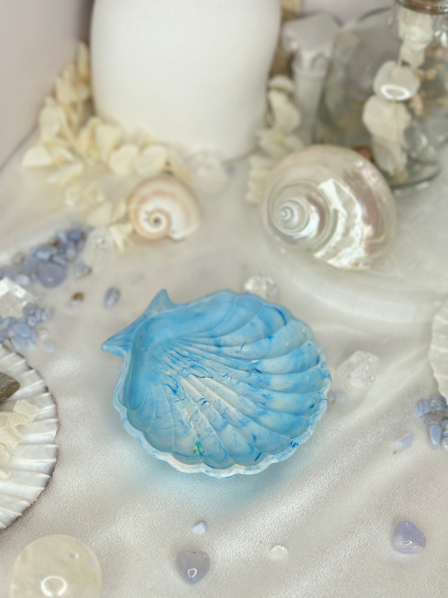 Coupelle - coquillage
