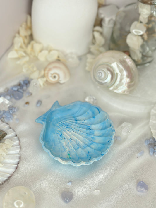Coupelle - coquillage
